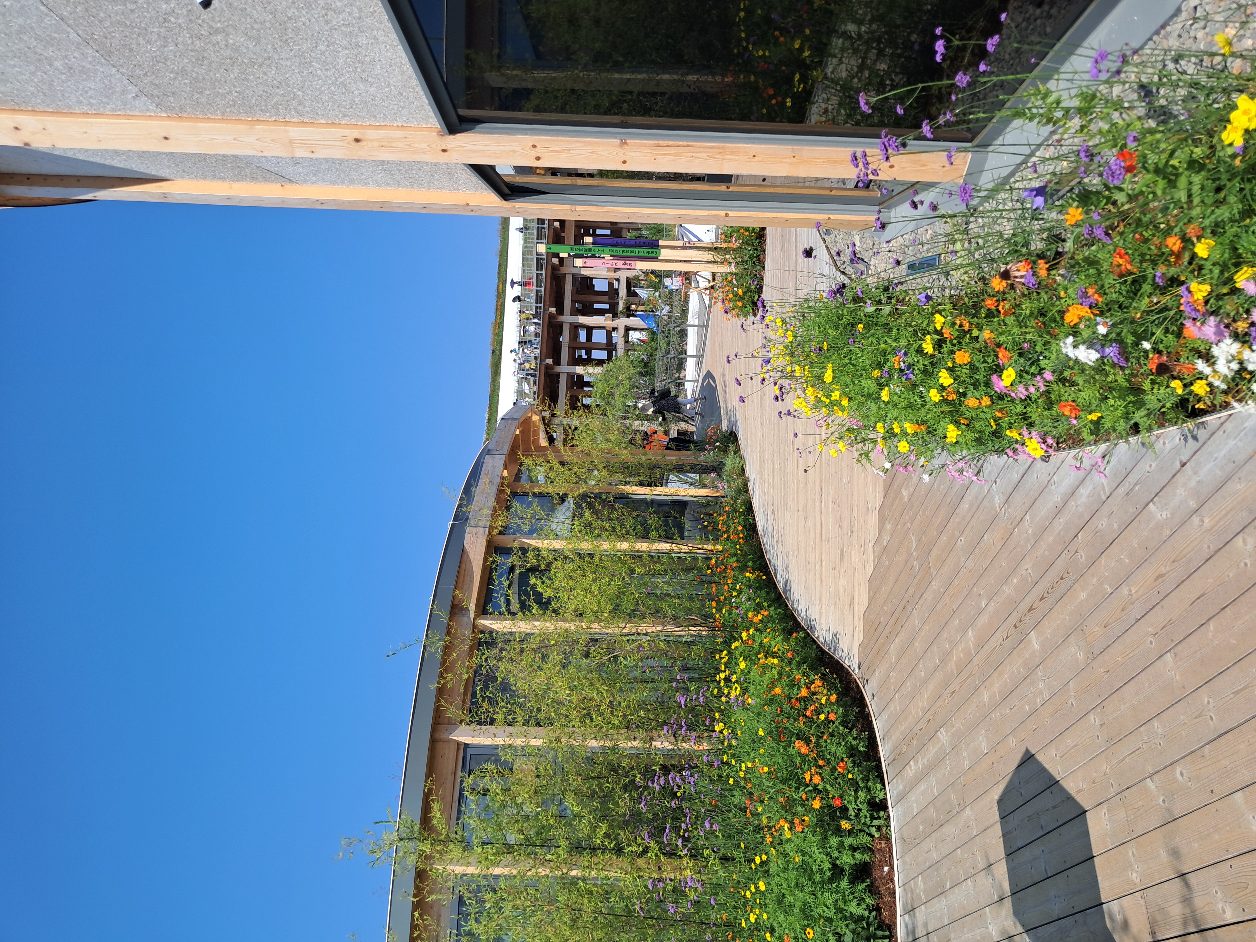 Placeholder polaroid