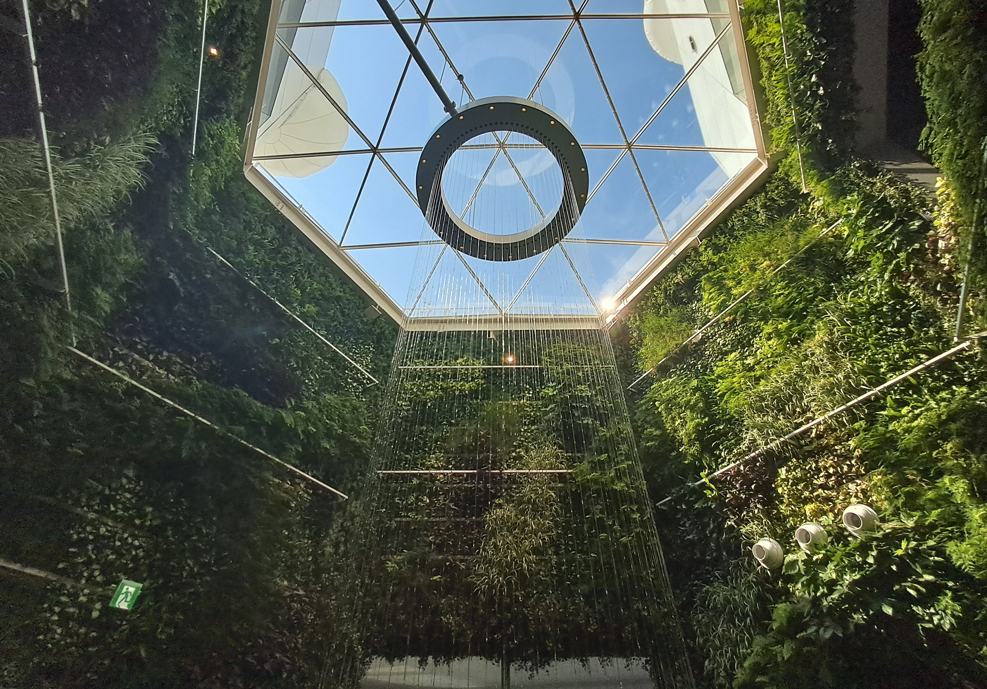 Placeholder polaroid